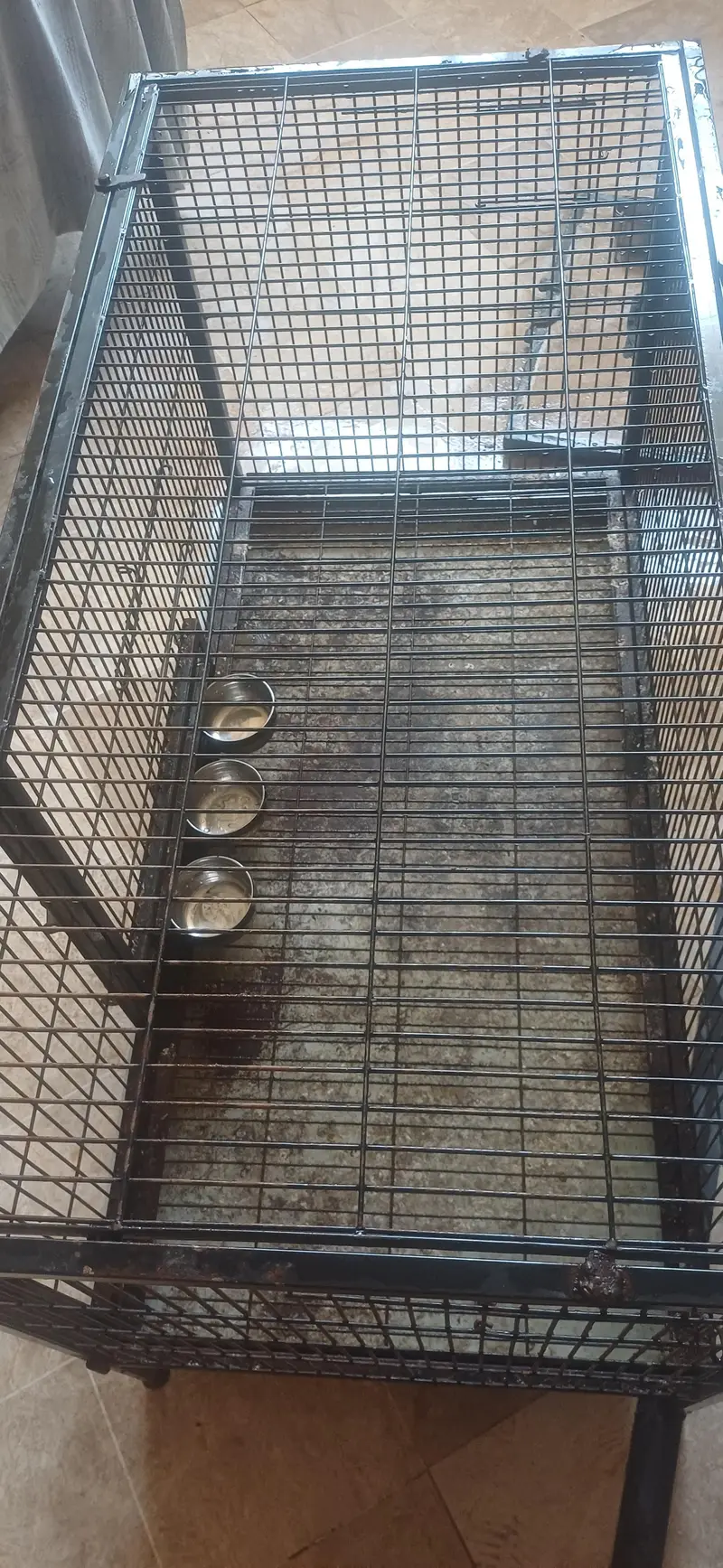 Strong Iron Cage — photo 12