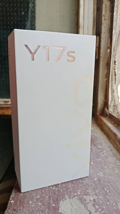 Vivo Y17s