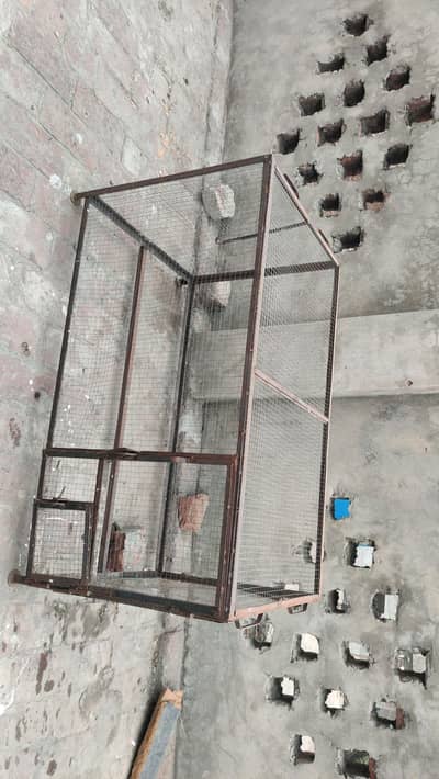 cage available