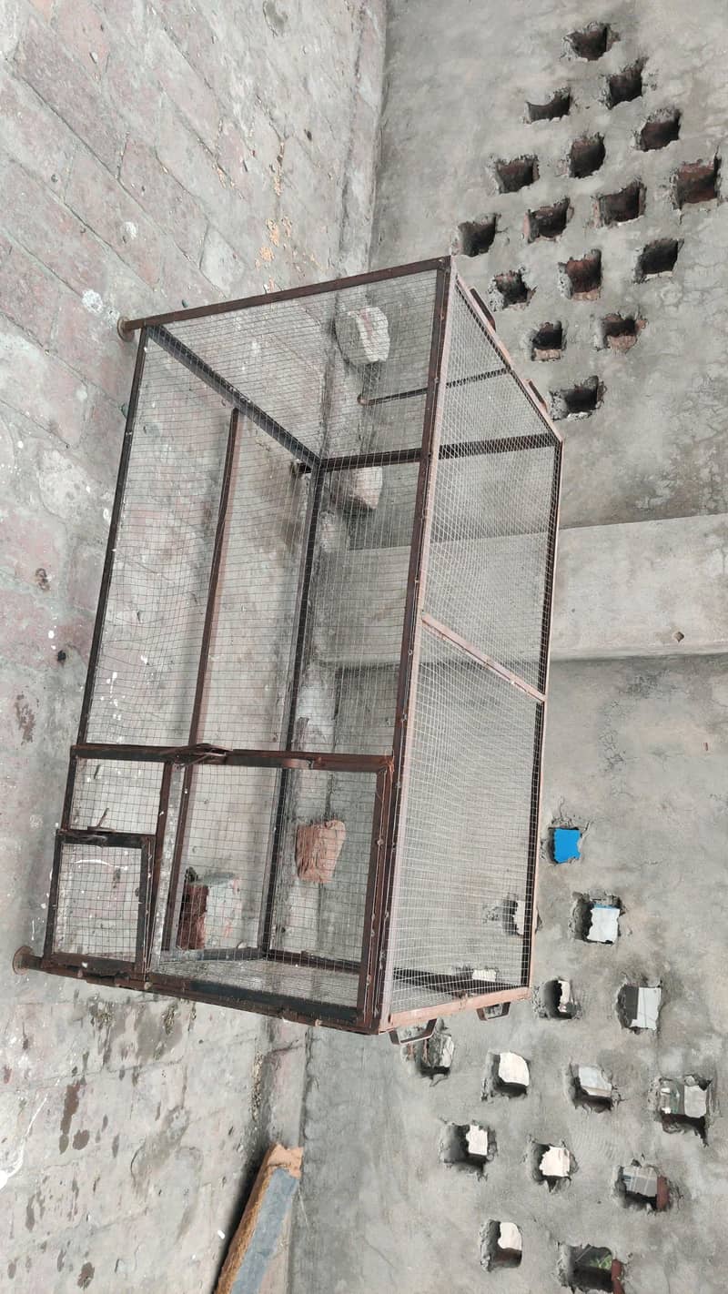cage available 0