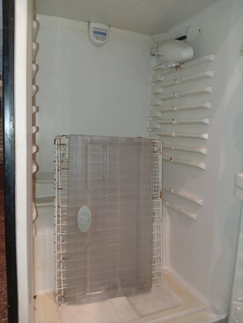 fridge 5