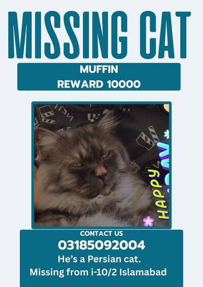 Missing cat from i-10/2 Islamabad