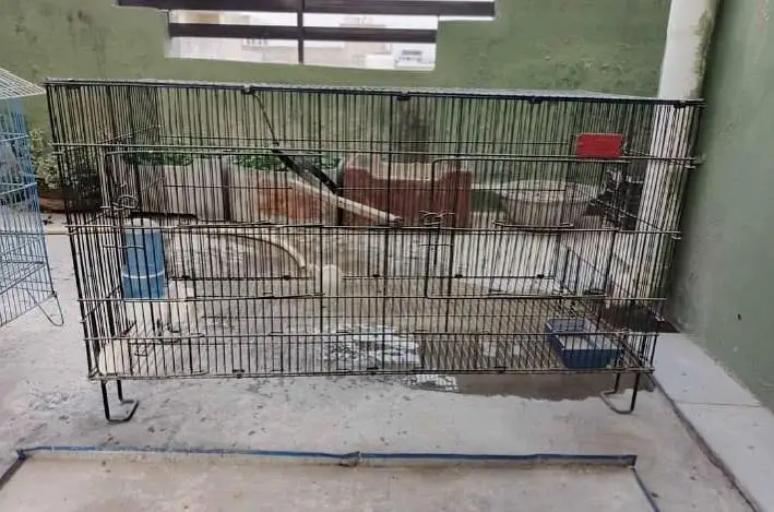 2 bird cages — photo 2