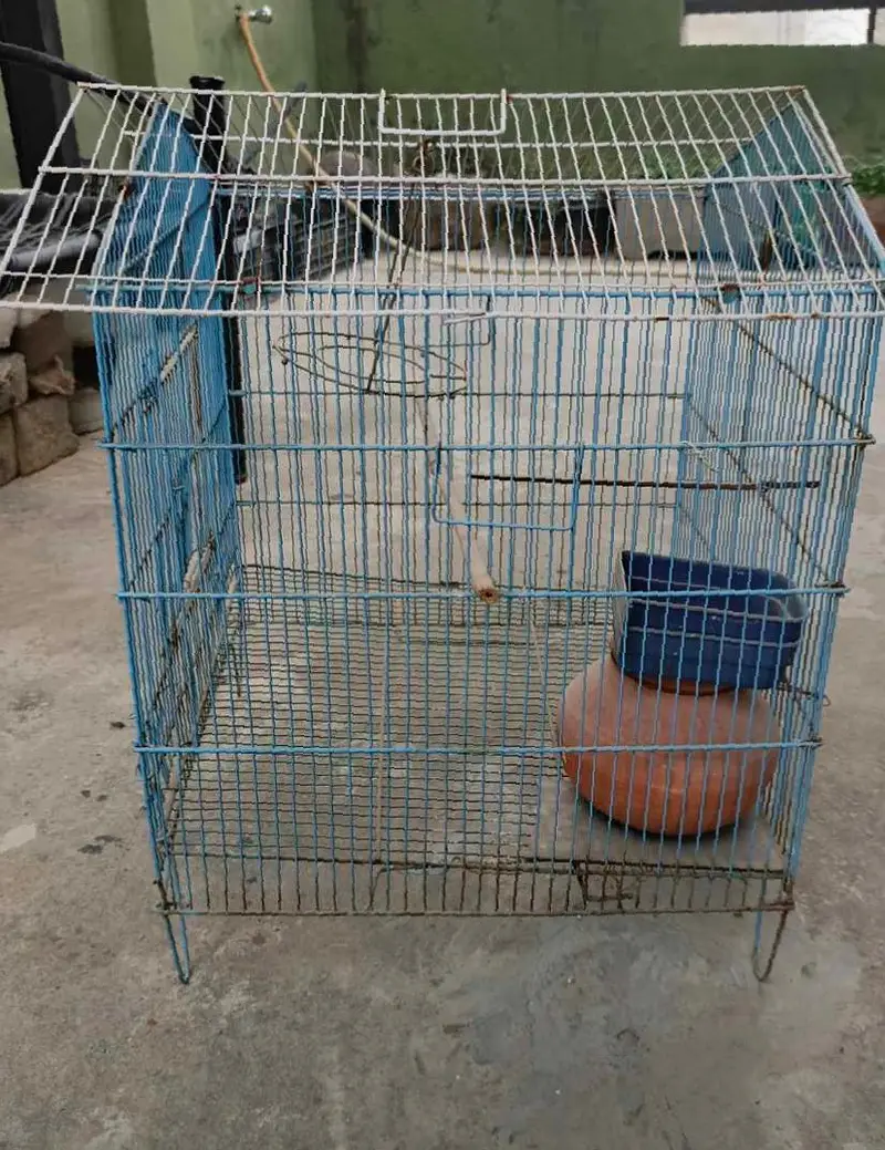2 bird cages — photo 3