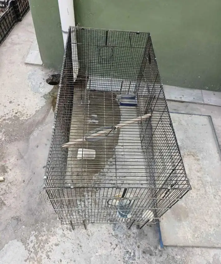 2 bird cages — photo 4