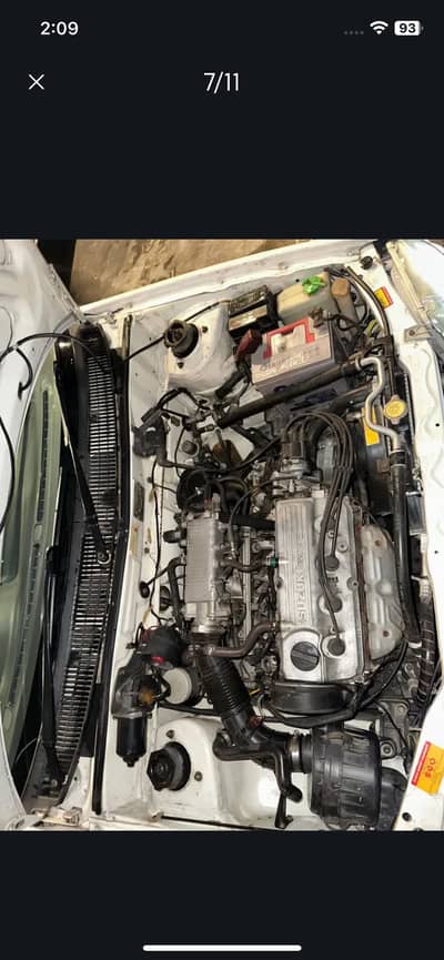 Suzuki cultus