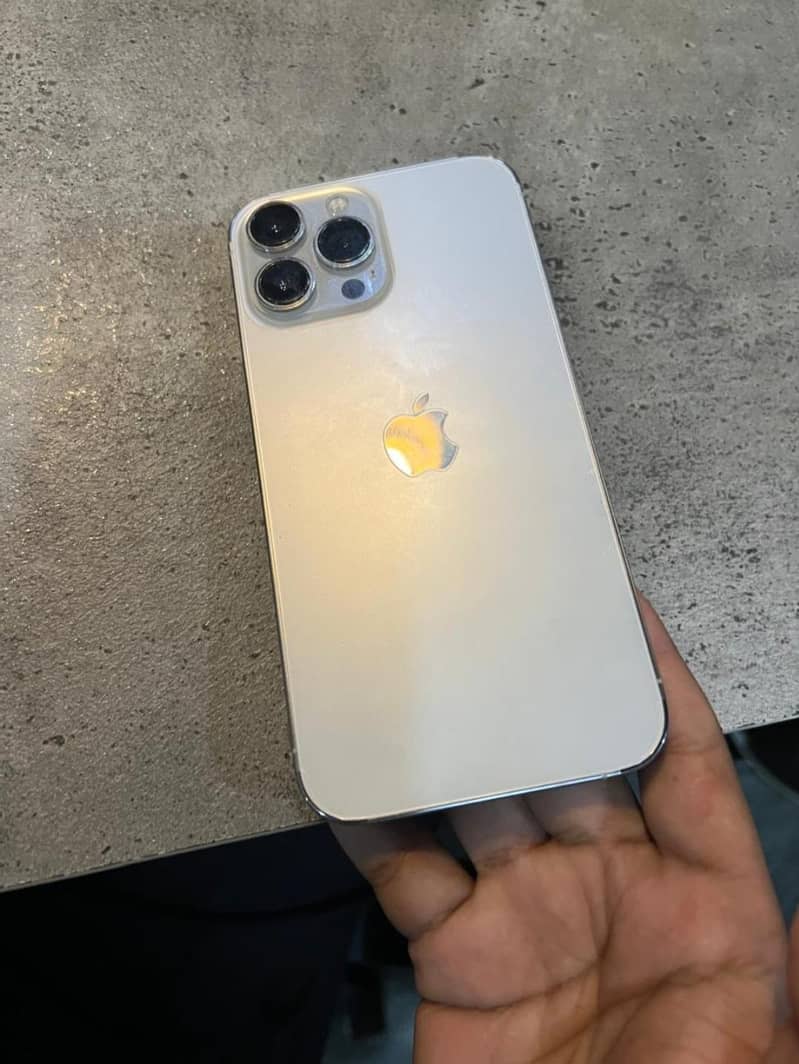 Apple iPhone 13 Pro Max 1