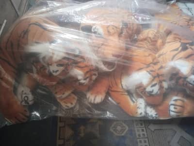 lione