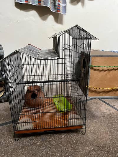 Bird Cage