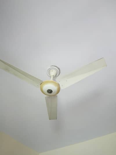 GFC Ceiling fan for sale