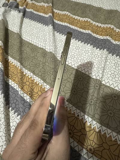 iPhone 13 Pro Max jv