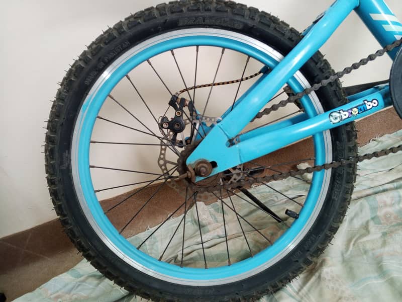 cycle 20size 7