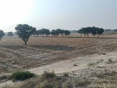 32 Kanal Agri Land For Dairy Forming Or Control Shed Or Wair House Or Form House From MULTAN 20 Km Head Muhammad Wala