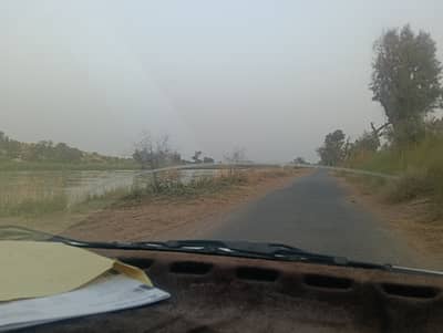 Ready To Buy A Agricultural Land In Head Muhammad Wala Head Muhammad Wala