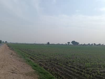 1000 kanal agriculture land Head Muhammad Wala from MULTAN 30 km