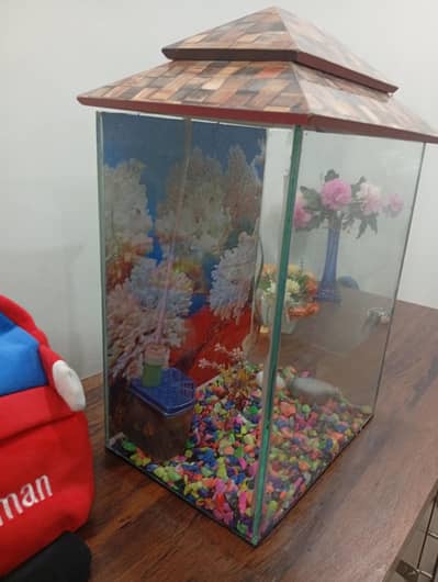 aquarium| 18 liter water capacity | No Leakage| 10/10