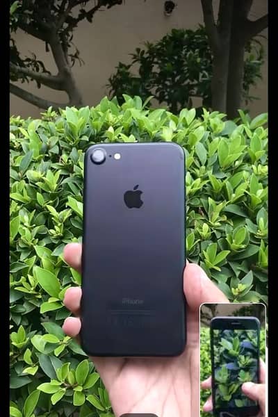 iPhone 7