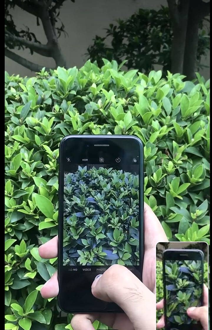 iPhone 7 1