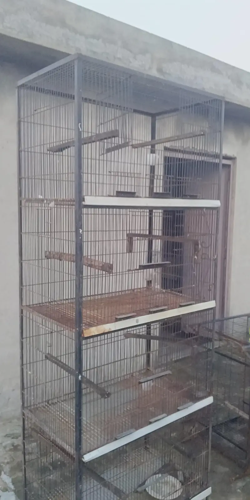 LOVEBIRD Cages, Iron Tower cage — photo 2