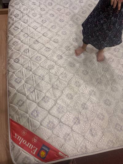 Molty Spring Mattress