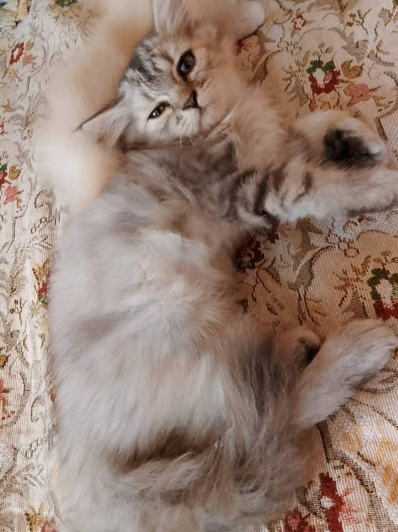 coco name 0