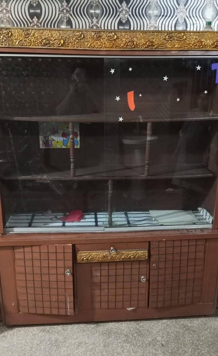 show case 1