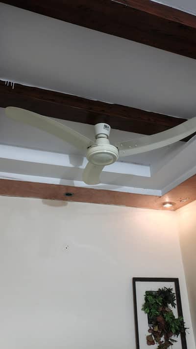 Pak Fan For Sale
