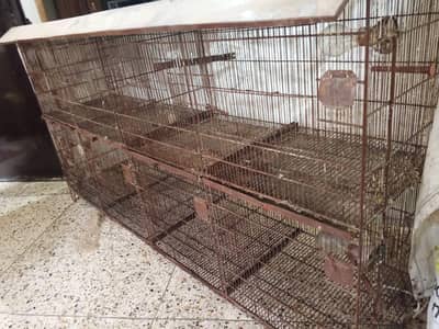 2x2 8 Portion-Pet Cage for Sale – P. I. B Colony, Karachi