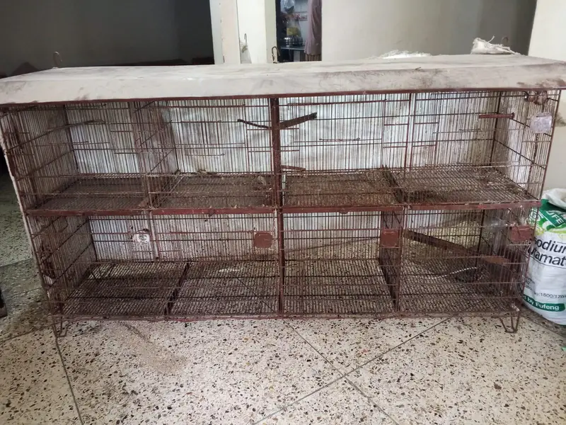 2x2 8 Portion-Pet Cage for Sale – P. I. B Colony, Karachi — photo 2