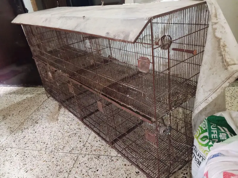 2x2 8 Portion-Pet Cage for Sale – P. I. B Colony, Karachi — photo 4