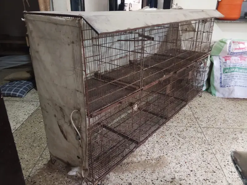 2x2 8 Portion-Pet Cage for Sale – P. I. B Colony, Karachi — photo 5