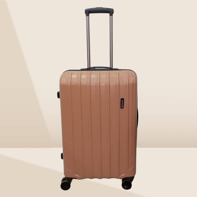 important luggage 1