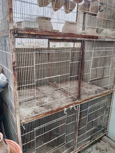 Cages