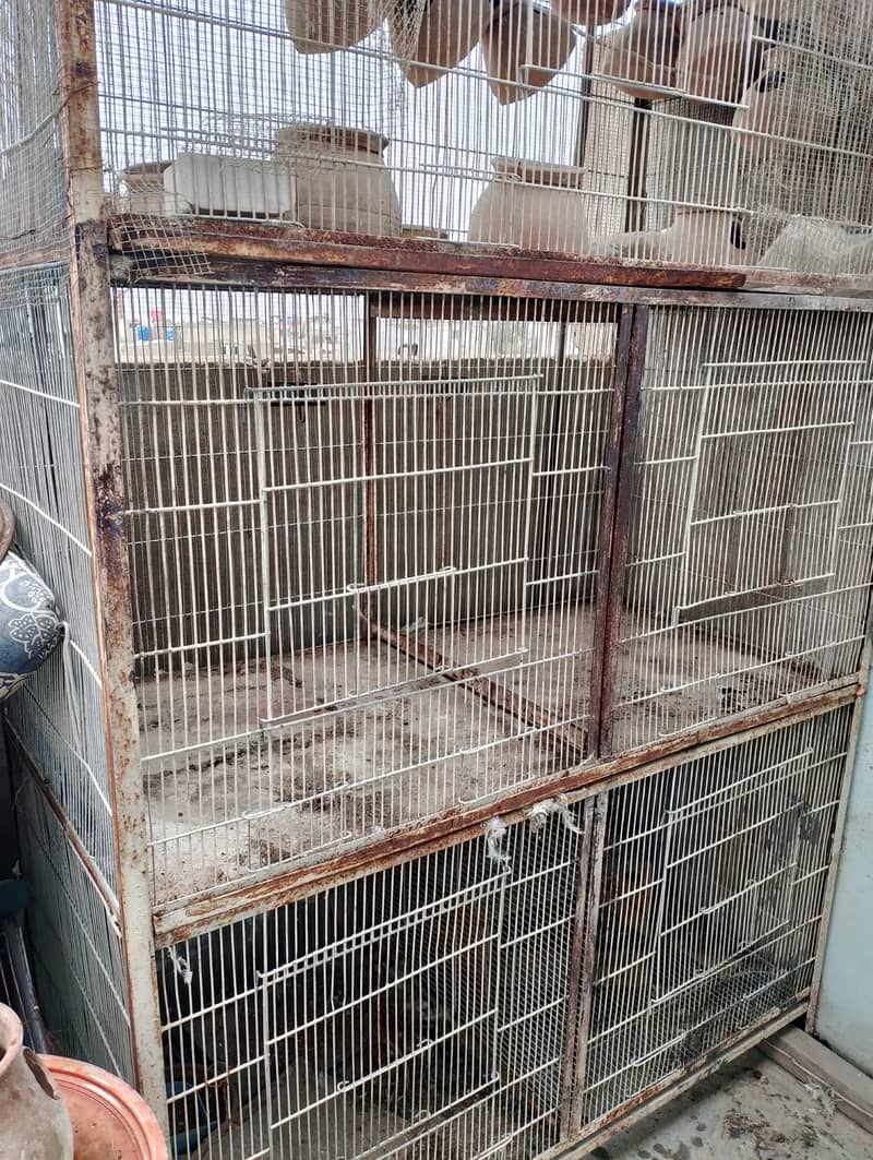 Cages 0