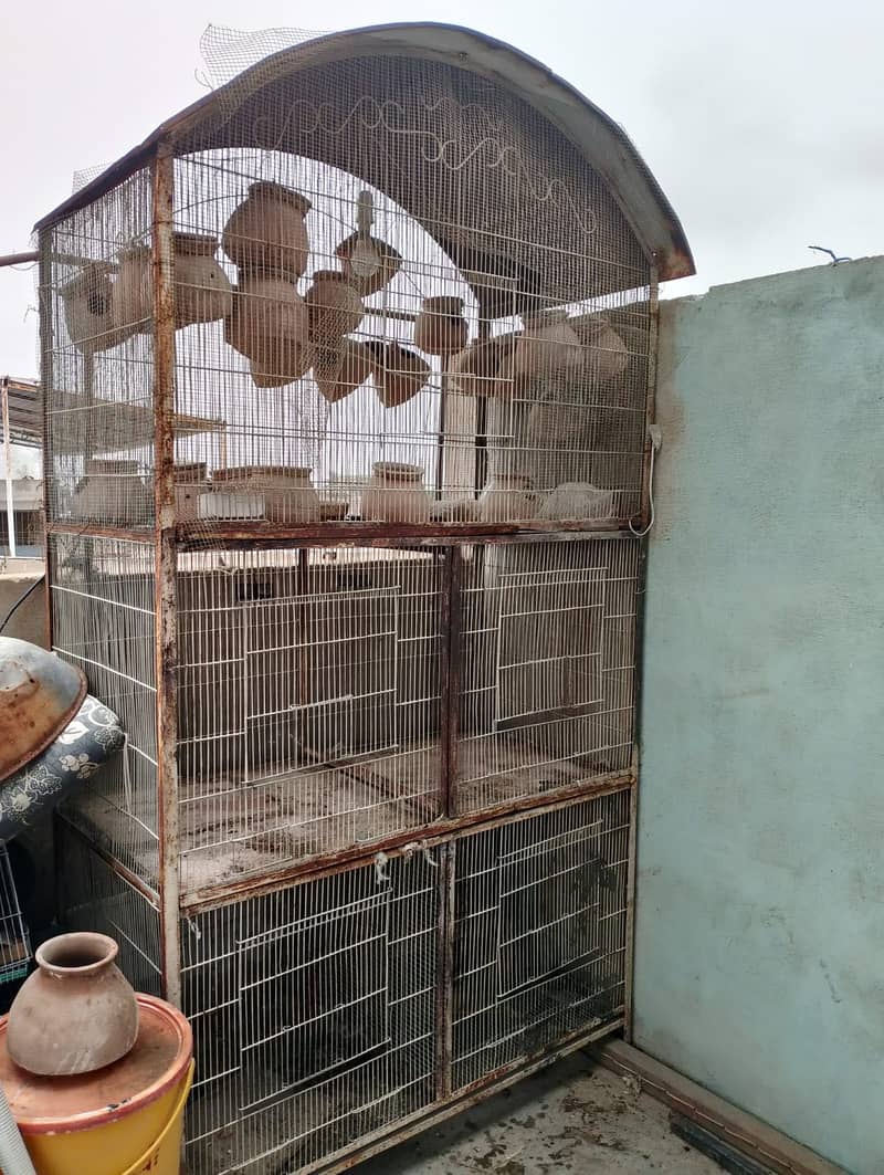 Cages 1