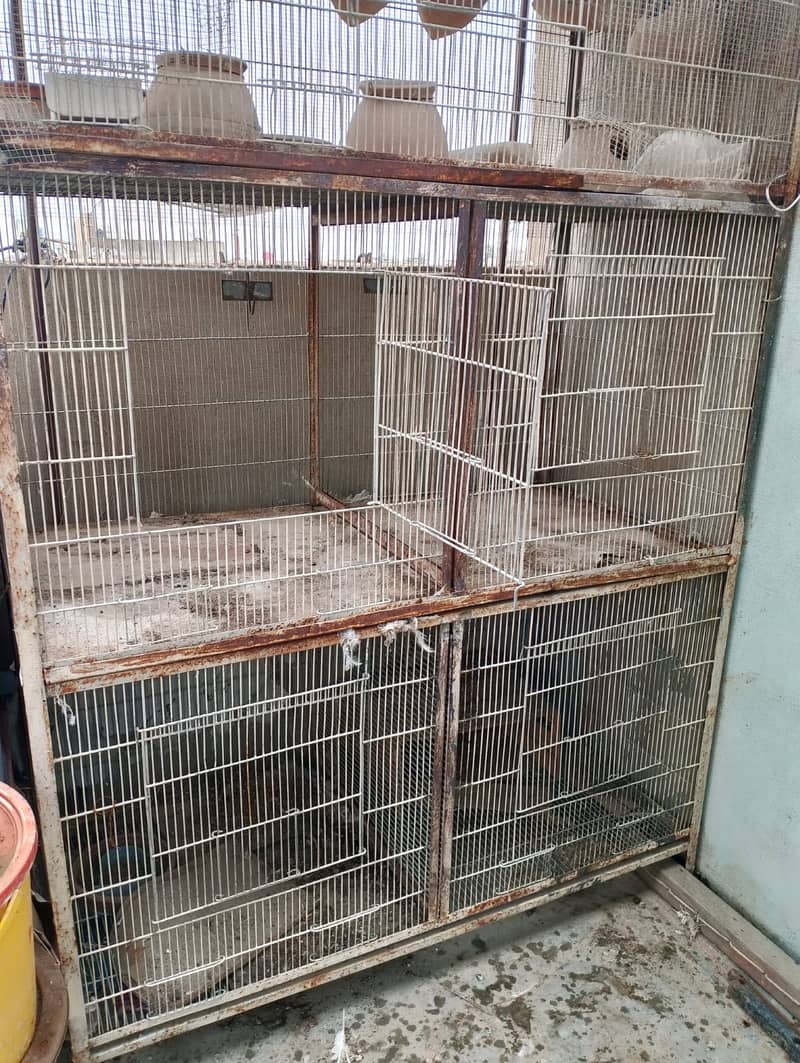 Cages 2