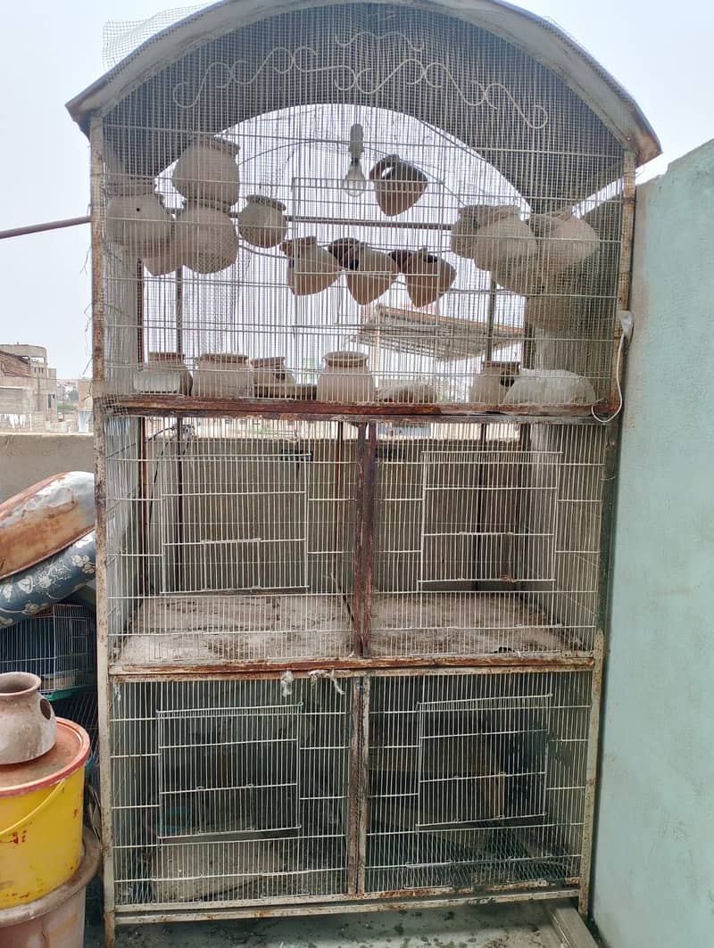 Cages 3