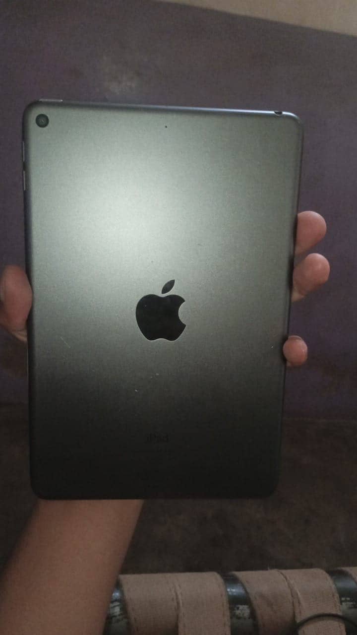ipaid mini5 1