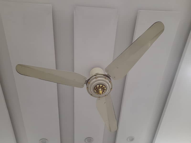 2 Ceiling Fans 1