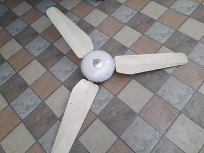 Ceiling Fans