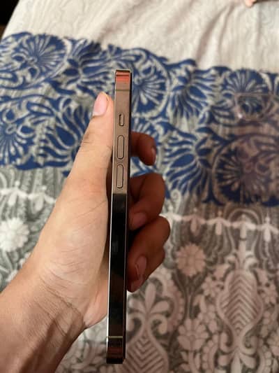 Apple iPhone 14 Pro LLA Model