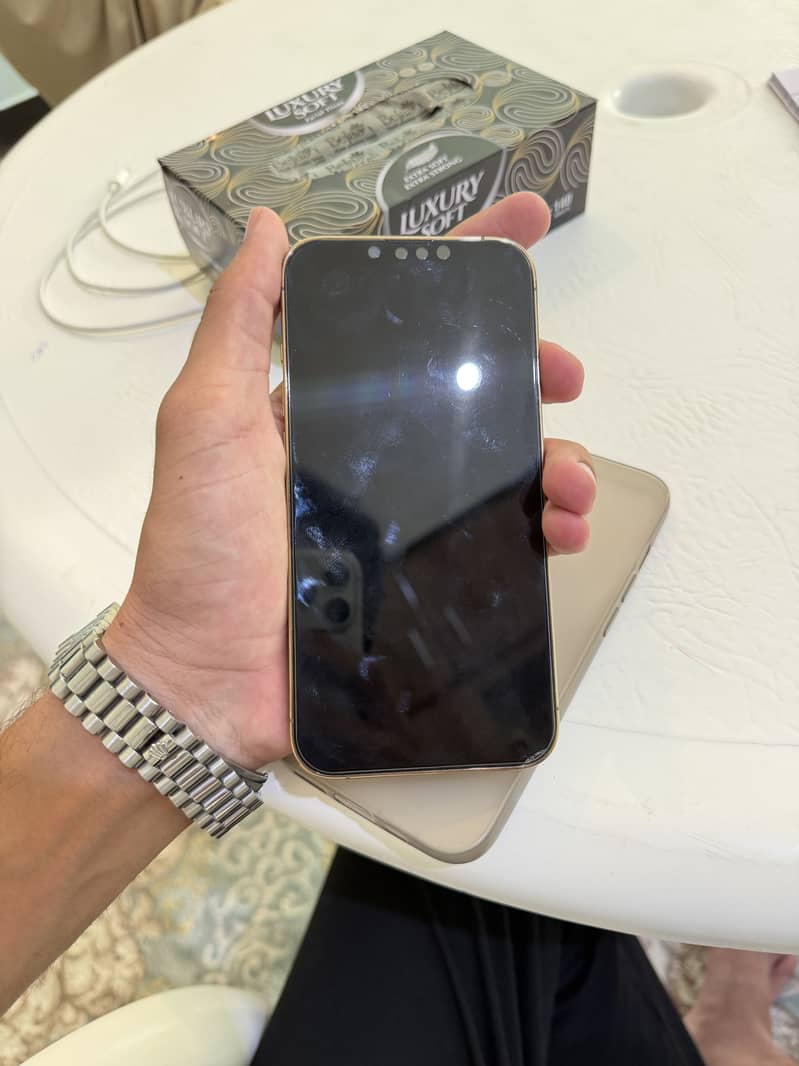 Apple iPhone 13 Pro 1