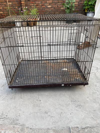 Cage of Birds