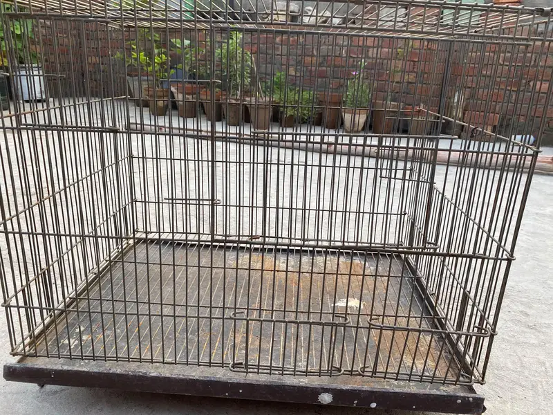 Cage of Birds — photo 2