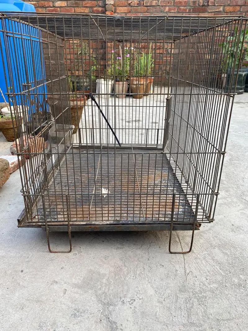 Cage of Birds — photo 3