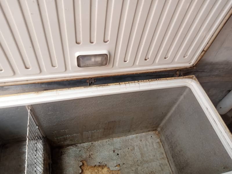 freezer 1