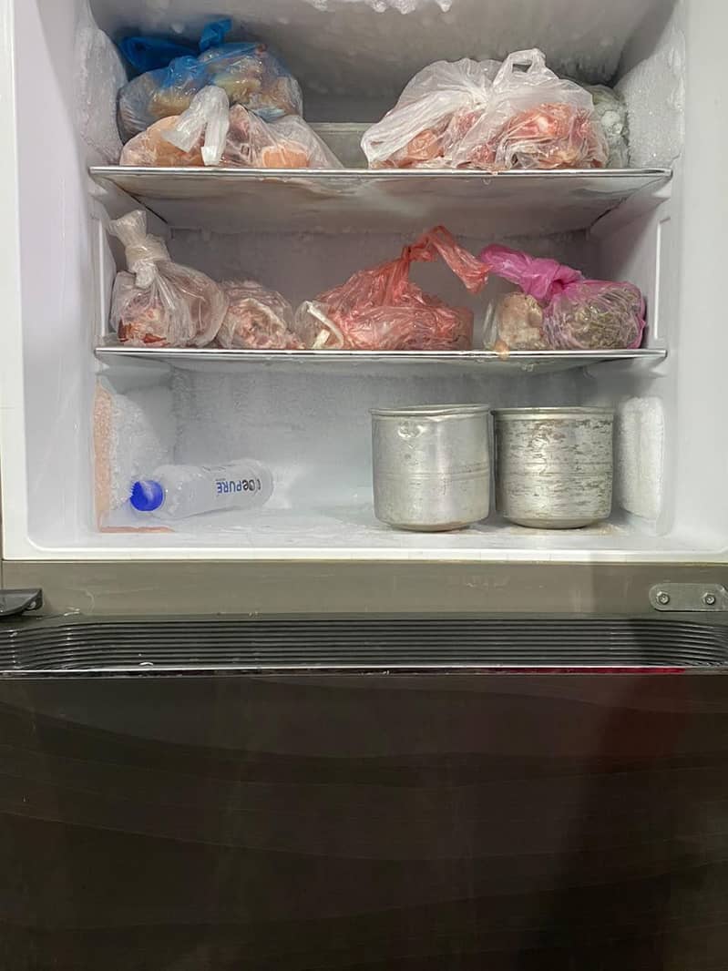 Haier Full Size Fridge 3