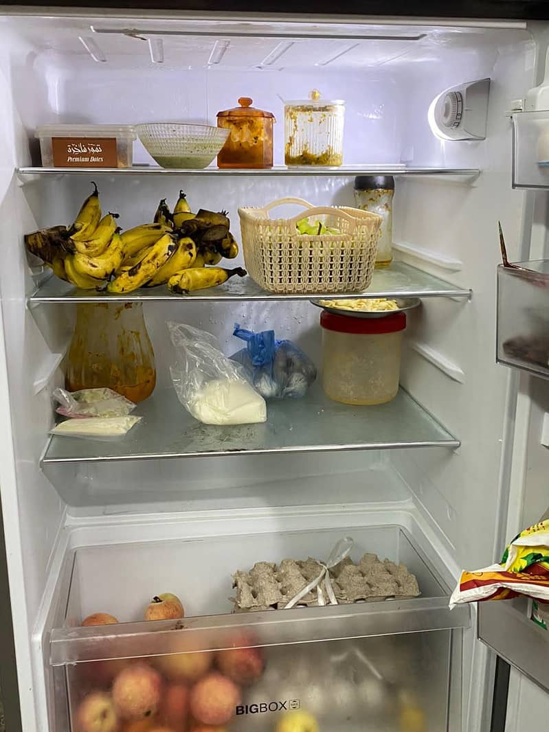 Haier Full Size Fridge 7