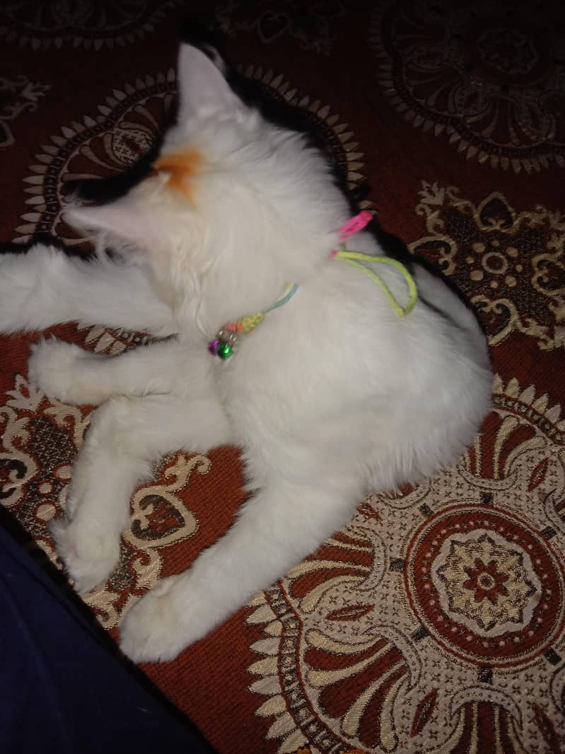 for sale 0