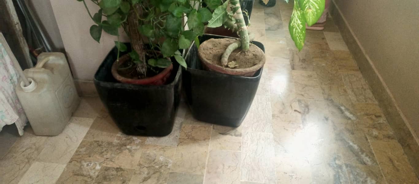 Pots Available 8 pieces Empty Black Large 10